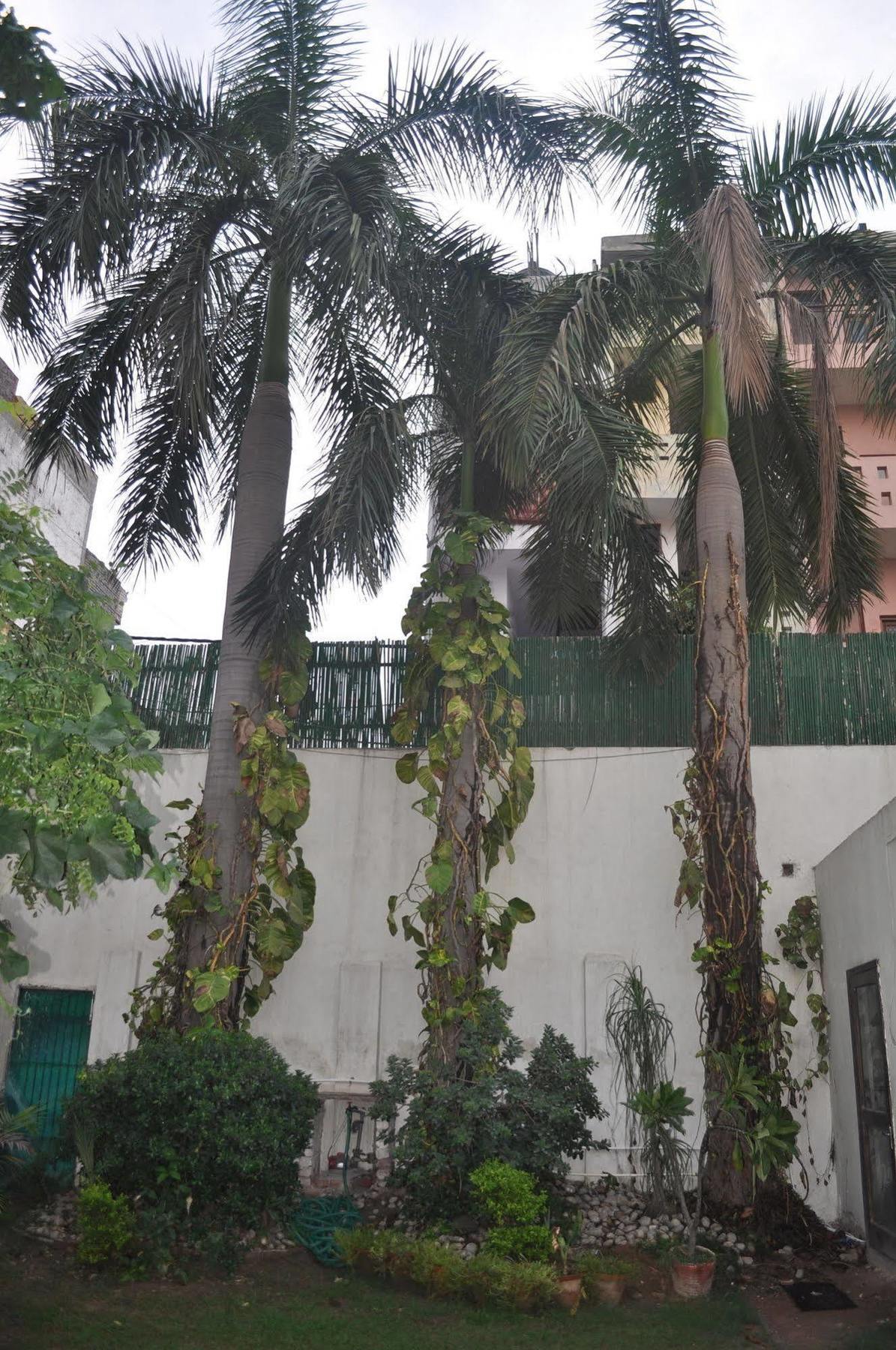 Hotel Kabli Yeni Delhi Dış mekan fotoğraf