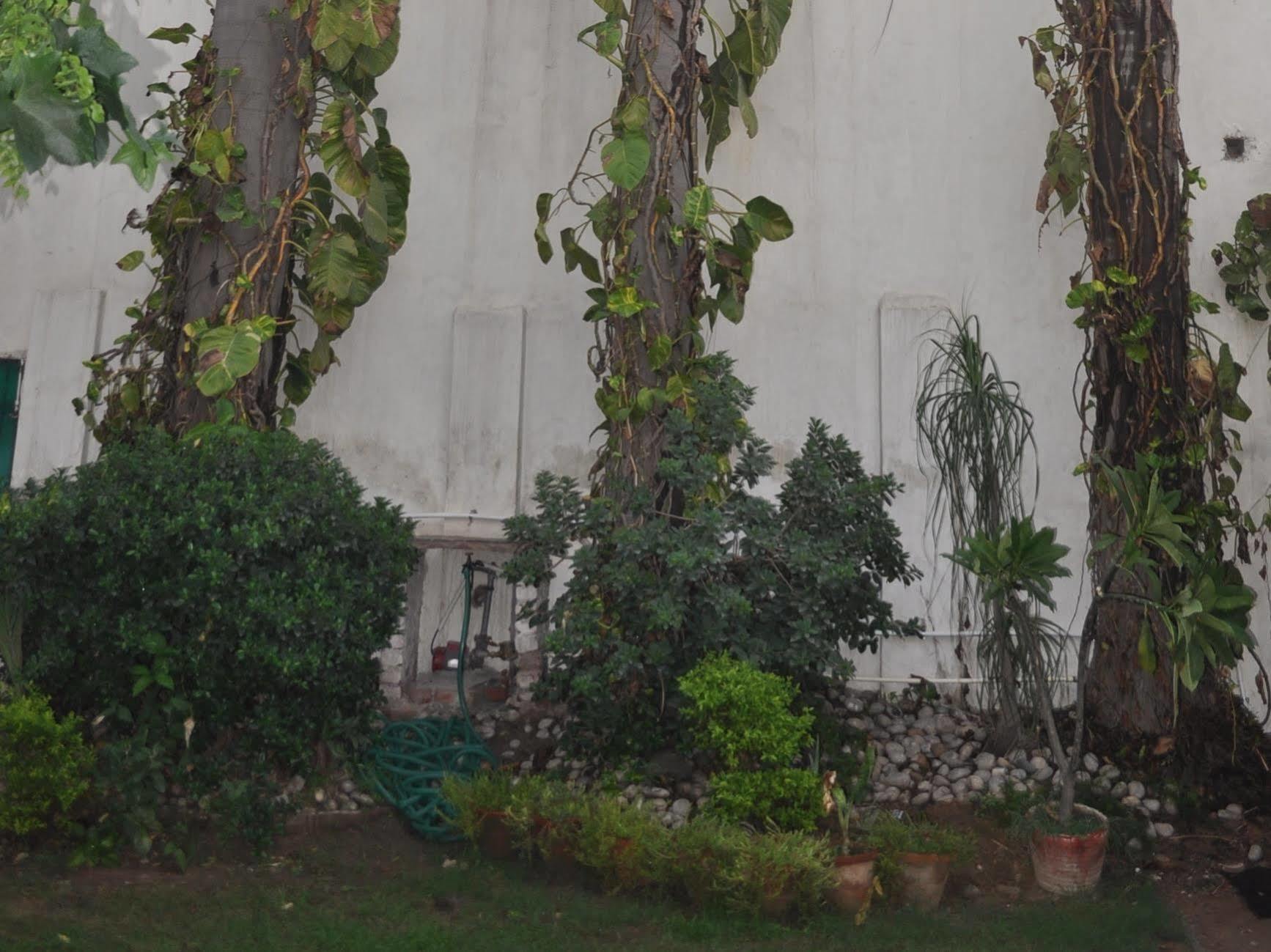 Hotel Kabli Yeni Delhi Dış mekan fotoğraf